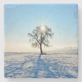 Winterboom - - stenen onderzetter