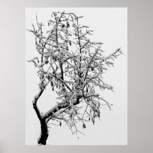 Winterboomdruk Poster