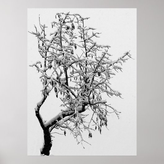 Winterboomdruk Poster (Voorkant)