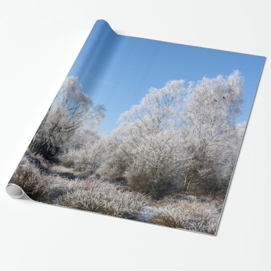 WINTERBOOMEN CADEAUPAPIER (Uitgerold)