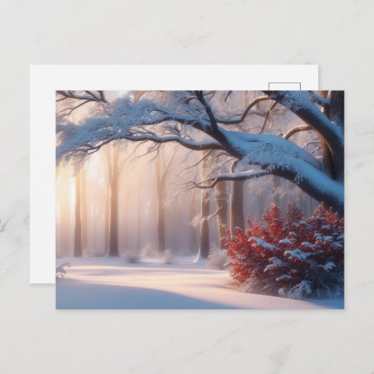 Winterbos bedekt met sneeuw briefkaart (Voorkant / Achterkant)