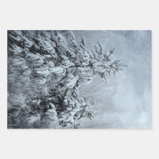 Winterbos bossen sneeuw bedekte bomen inpakpapier vel (Voorkant 2)