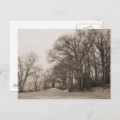 Winterbos Briefkaart (Voorkant / Achterkant)