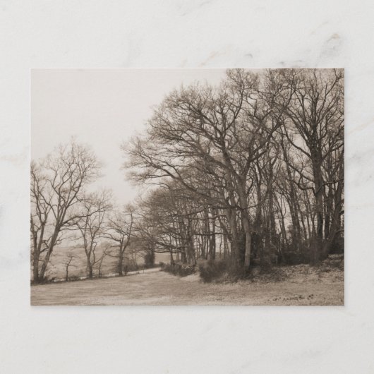 Winterbos Briefkaart (Voorkant)