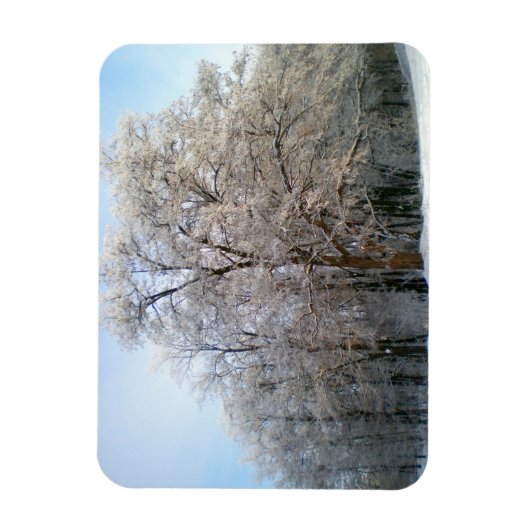 Winterbos in december 2012 magneet (Verticaal)