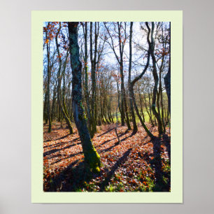 Winterbos in Frankrijk Poster