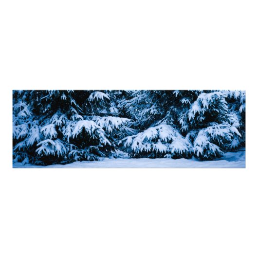 Winterboskerstboom Foto Afdruk (Voorkant)