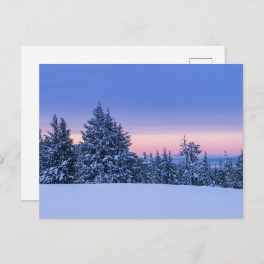 Winterboslandschap op zonsondergang briefkaart (Voorkant / Achterkant)