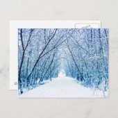 Winterbospad Briefkaart (Voorkant / Achterkant)