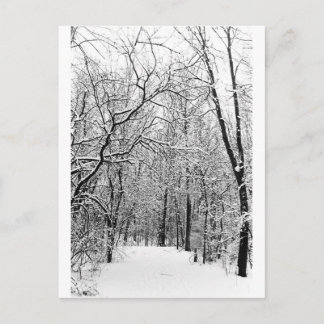 WinterBossen Briefkaart