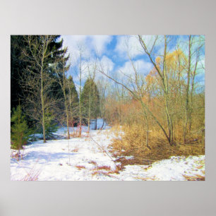 Winterbossen Poster
