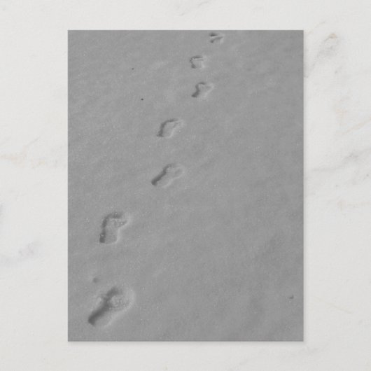 WinterBriefkaart! Briefkaart (Voorkant)