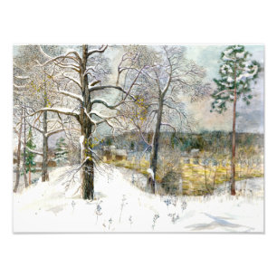 winterbrug foto afdruk