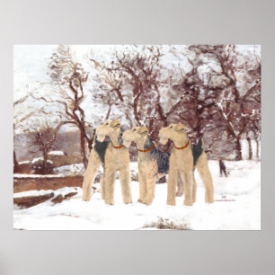 Winterdag Poster