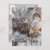 Winterdistel - Dank u Kaart (Voorkant / Achterkant)