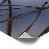 Winterdruk Chickadee Poster (Hoek)