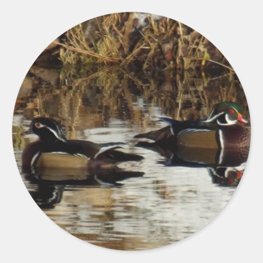 Winterducks14by11 Ronde Sticker (Voorkant)