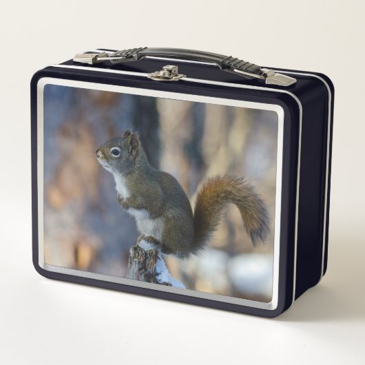 Wintereekhoorn, bruin dier, Canadese foto (Voorkant)