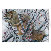 Wintereekhoorn in de boom