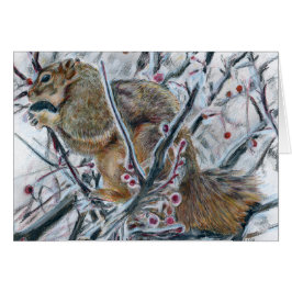 Wintereekhoorn in de boom