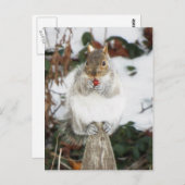 Wintereekhoorndruk Briefkaart (Voorkant / Achterkant)