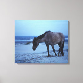 Wintereenzaamheid van de paardachtigen canvas afdruk