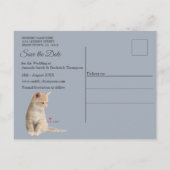 Winterfeesten in de sneeuw, met Kittens Aankondigingskaart (Achterkant)