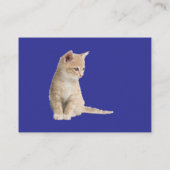 Winterfeesten in de sneeuw, met Kittens Informatiekaartje (Achterkant)