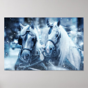 Winterfoto van het schitterende paard poster