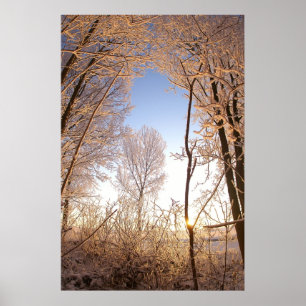 Wintergate Poster