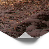 Wintergate Poster (Hoek)