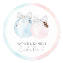 Wintergender onthullen Baby shower