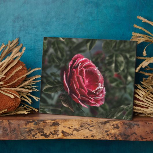 Wintergipsplaat Fotoplaat (Zijkant)