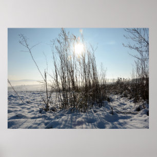 Wintergrassen - poster