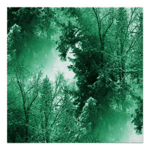 Wintergroen... Perfect Poster