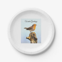 Wintergroeten. Robin zingt