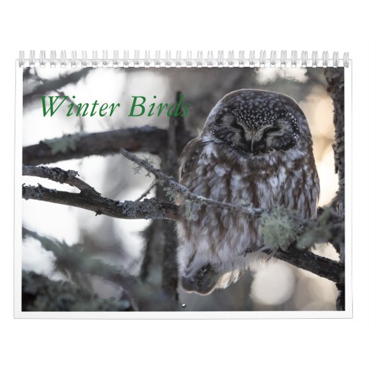 winterkalender kalender (Hoes)