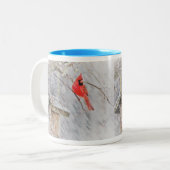 Winterkardinale Mok (Voorkant links)