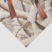Winterkardinalen Tissuepapier (Detail)
