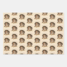  winterkatten inpakpapier set