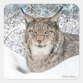 "Winterkind" Vierkante Sticker (Voorkant)