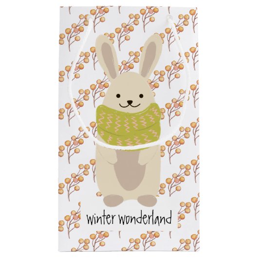 Winterkonijn met zijn gestreept Scarf Klein Cadeauzakje (Achterkant)