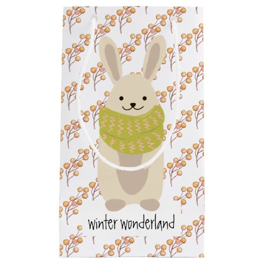 Winterkonijn met zijn gestreept Scarf Klein Cadeauzakje (Voorkant)