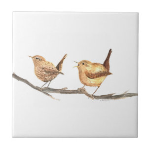 Winterkoninkje rustieke vintage keuken Vogels Wood Tegeltje