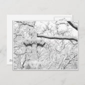 Winterkruis Briefkaart (Voorkant / Achterkant)