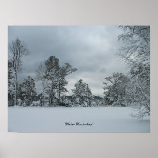Winterland 1 poster