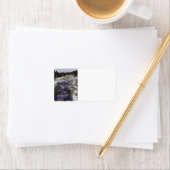 Winterland Etiket (Insitu)