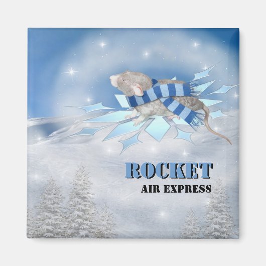 Winterland Journey Magneet (Voorkant)