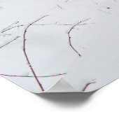 winterland poster (Hoek)