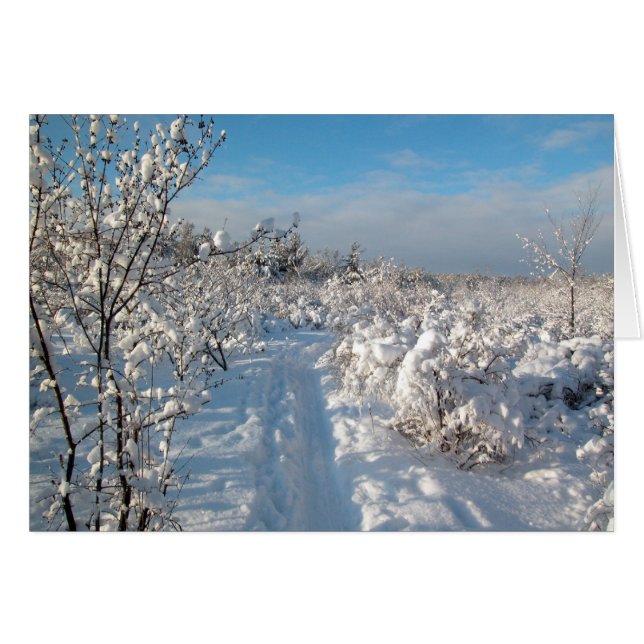 Winterlandschap (Voorkant Horizontaal)
